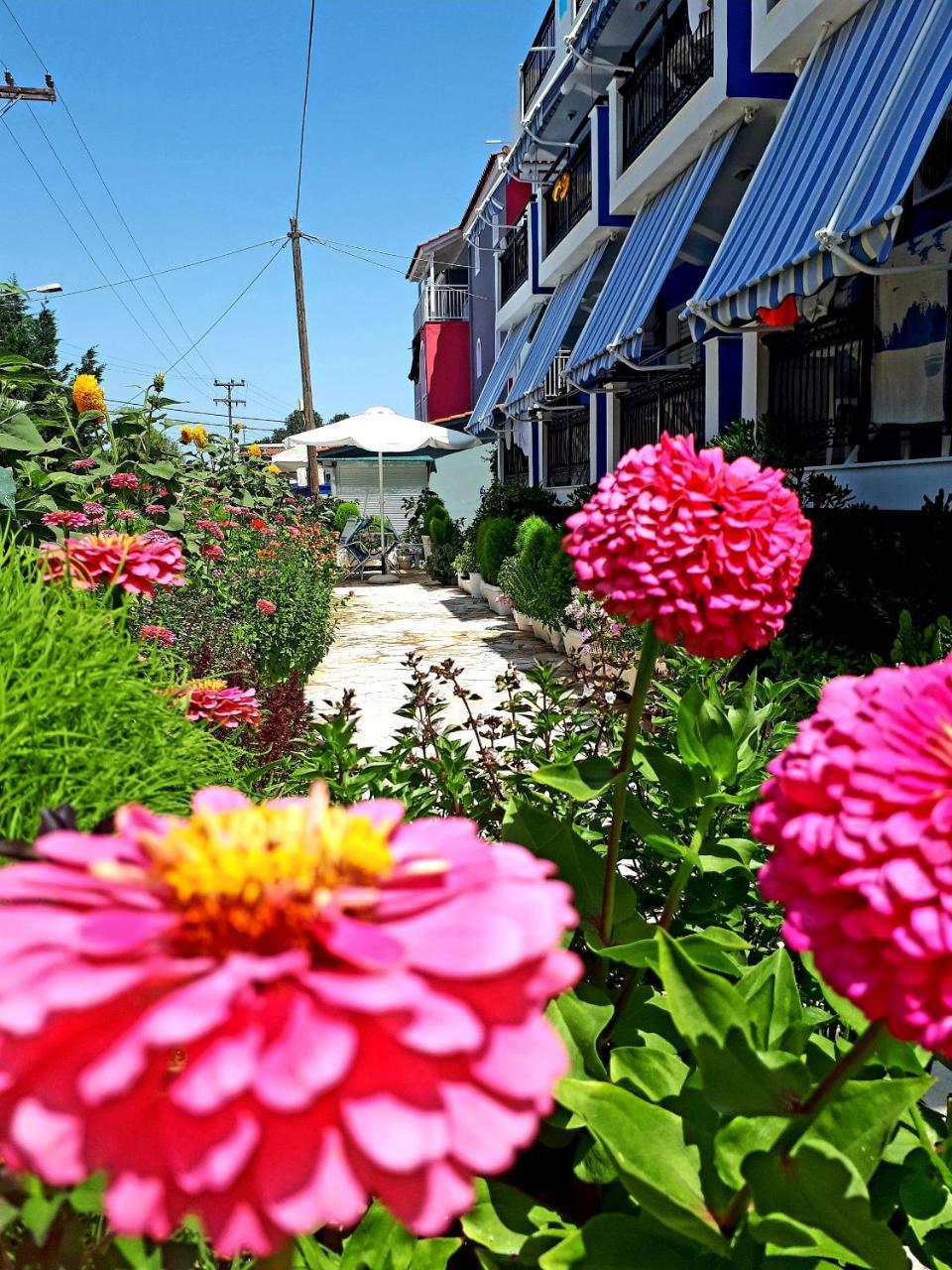 Hotel Zante Dahlia Laganas Zewnętrze zdjęcie