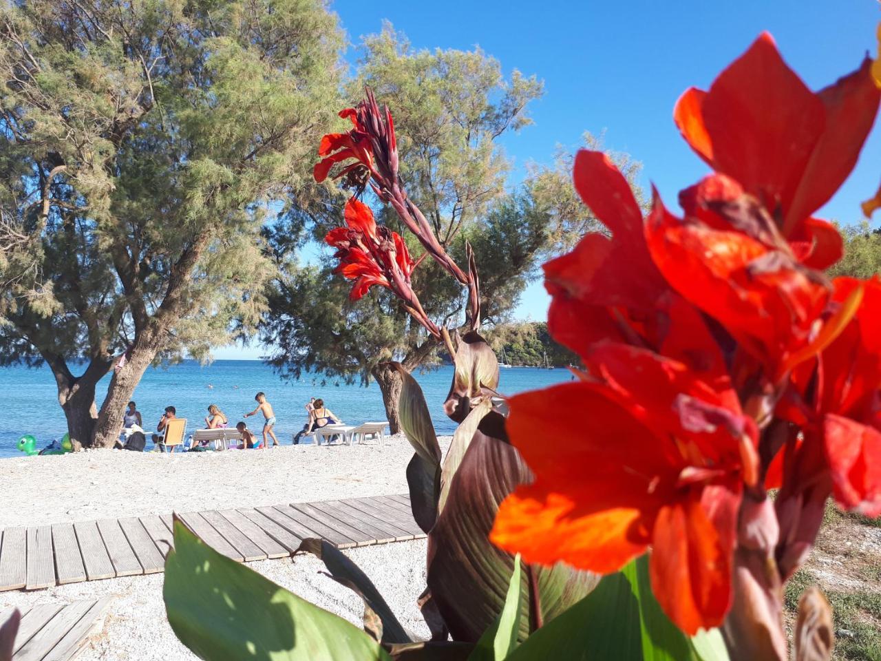 Hotel Zante Dahlia Laganas Zewnętrze zdjęcie